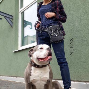 Bauchtaschen mit wasserdichtem Futter